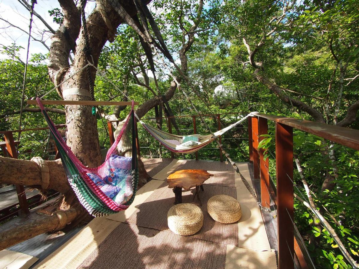 Treeful Treehouse Sustainable Resort Nago Esterno foto